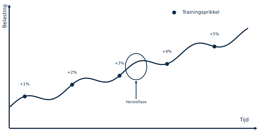 Progressive overload krachttraining groeicurve met trainingsprikkel en herstelfase